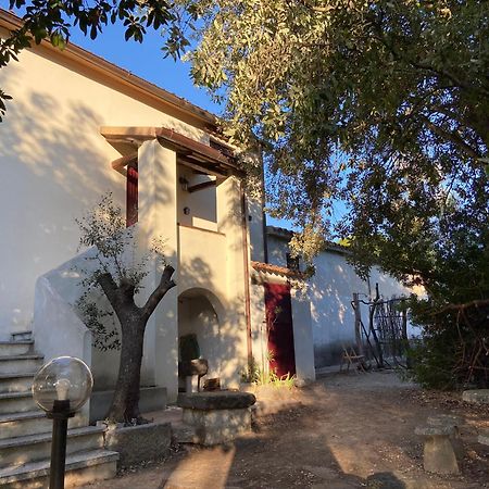 Taddore Green Lodge Galtelli Bagian luar foto