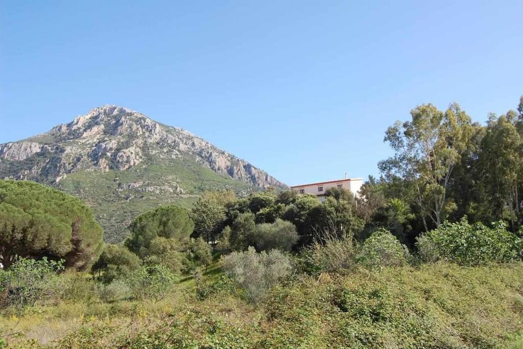 Taddore Green Lodge Galtelli Bagian luar foto