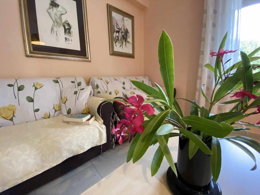 Taddore Green Lodge Galtelli Bagian luar foto