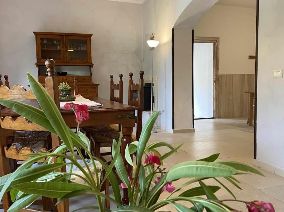 Taddore Green Lodge Galtelli Bagian luar foto