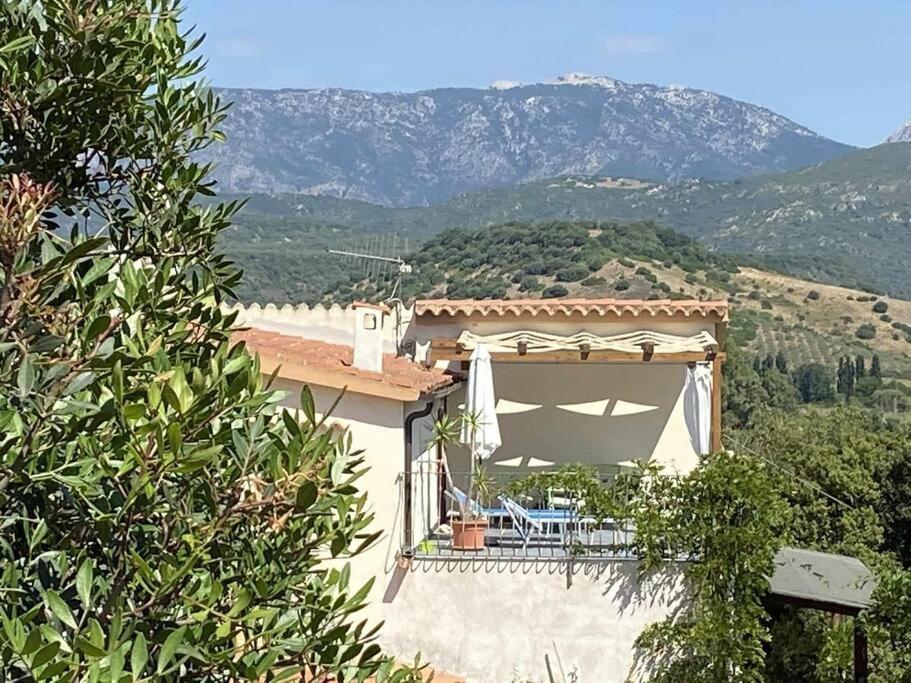 Taddore Green Lodge Galtelli Bagian luar foto